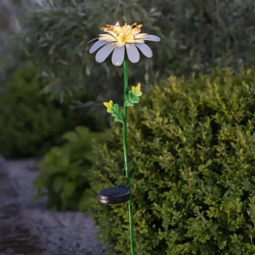 Solcellsdekoration Star Trading Daisy Twilight