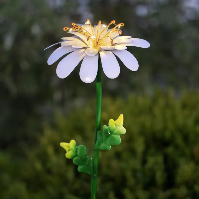 Solcellsdekoration Star Trading Daisy Twilight