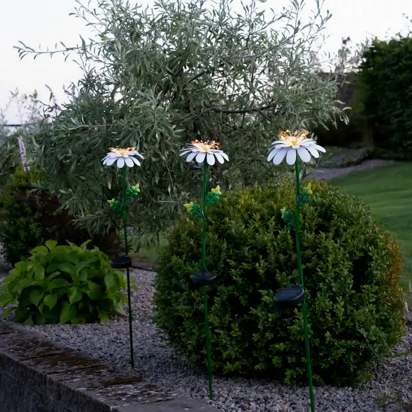 Solcellsdekoration Star Trading Daisy Twilight