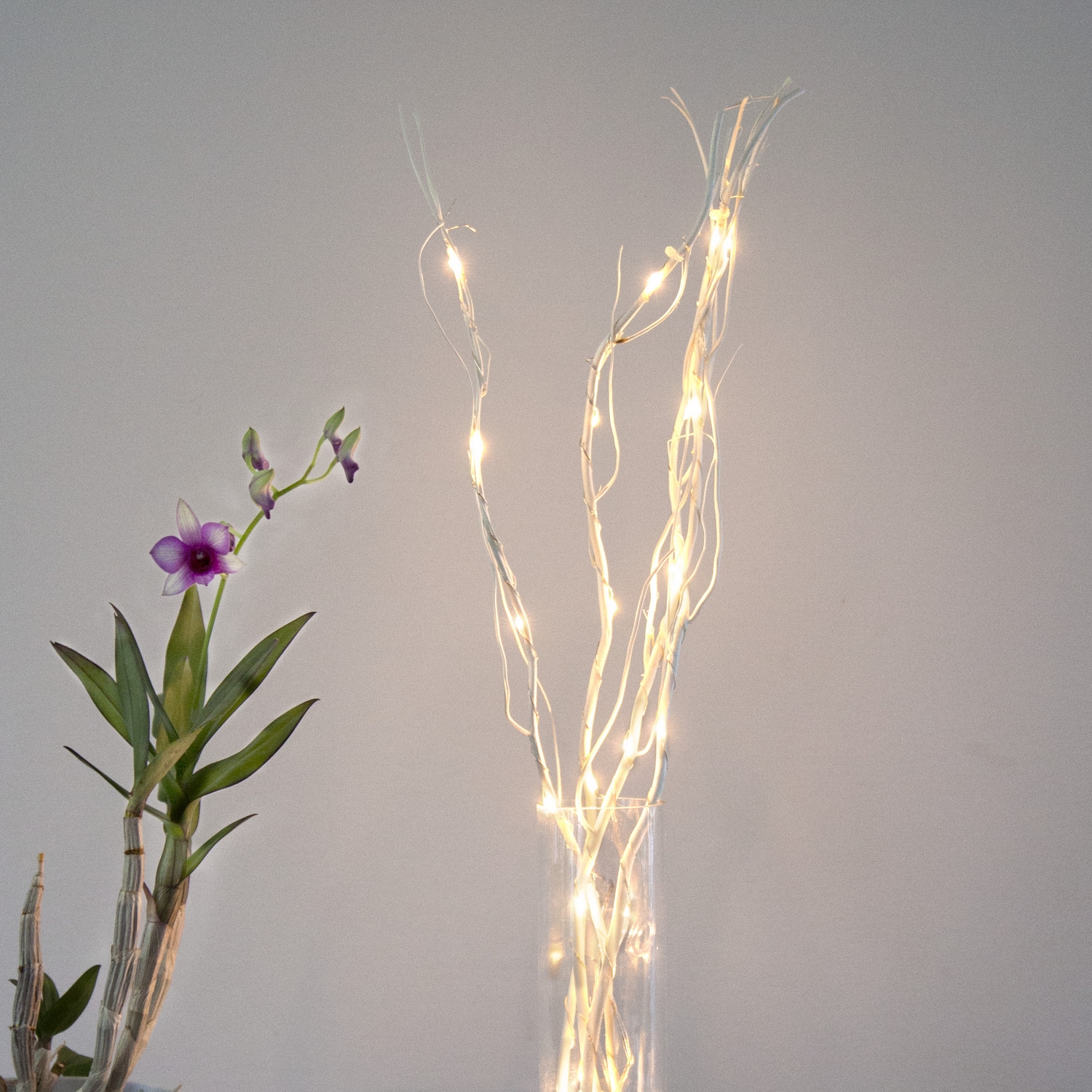 Dekorationskvist Star Trading Willow Dew Drop 24 LED