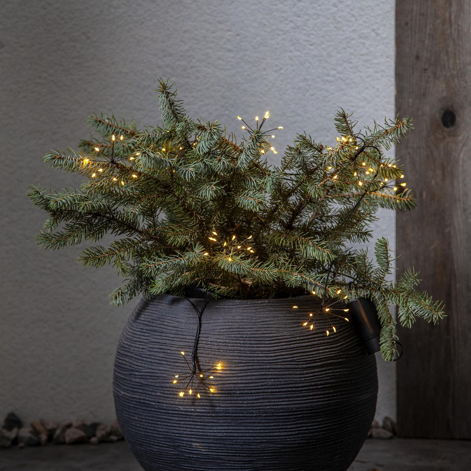 Ljusslinga Star Trading Dew Drop Flower