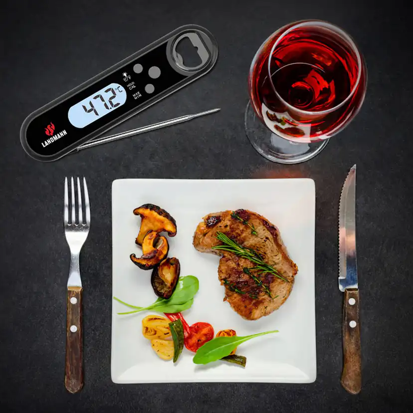 Termometer Landmann Quick