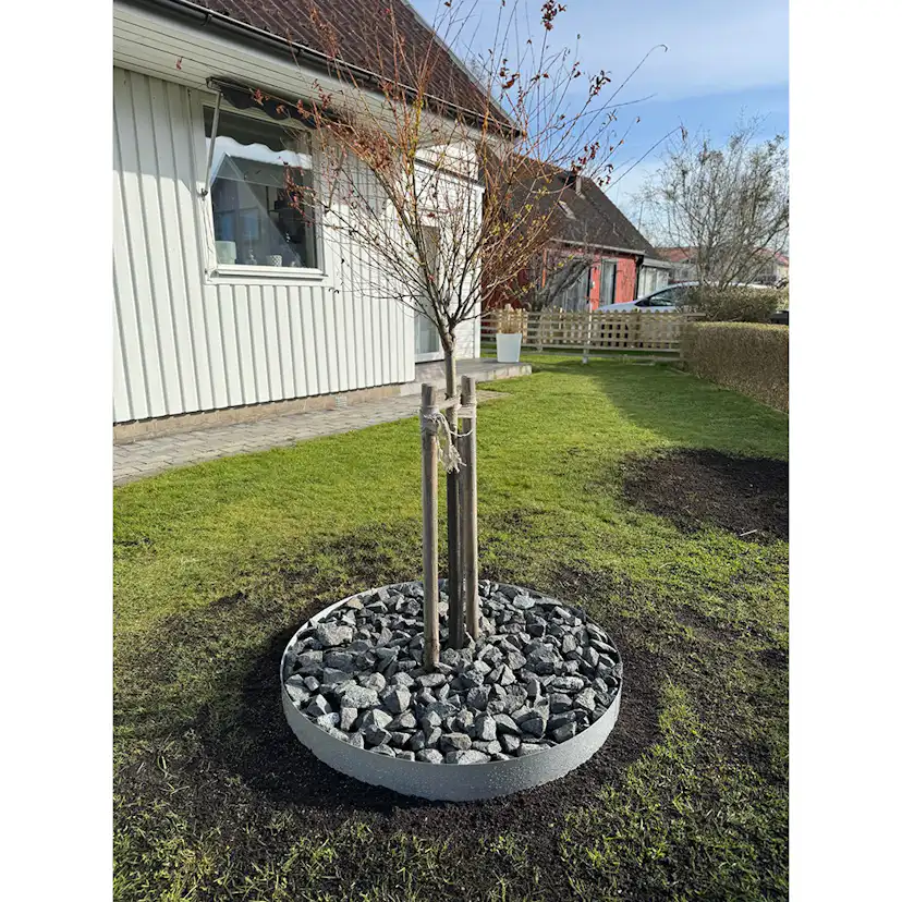 Trädring Skotte Garden Zinkplåt 26cm Hög ⌀65 cm