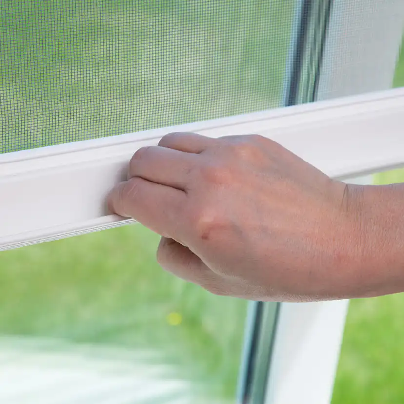 Insektsnät Svenska Fönster Deluxe för Fönster