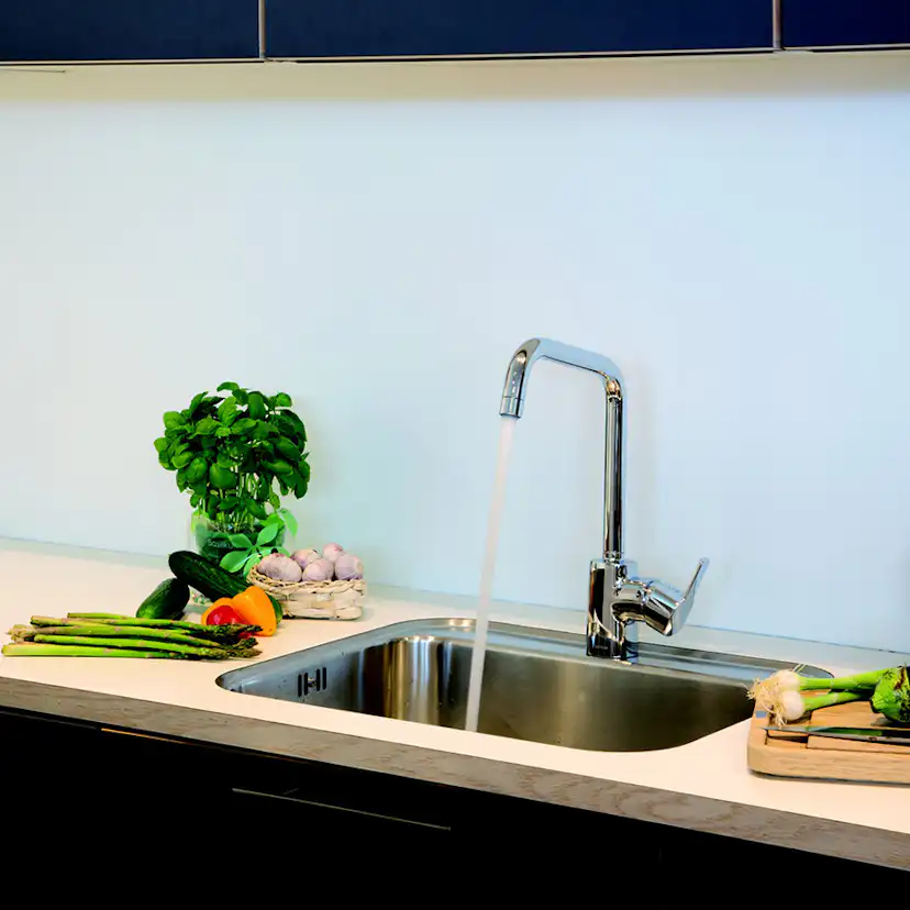 Köksblandare Damixa Pine med Hög Pip