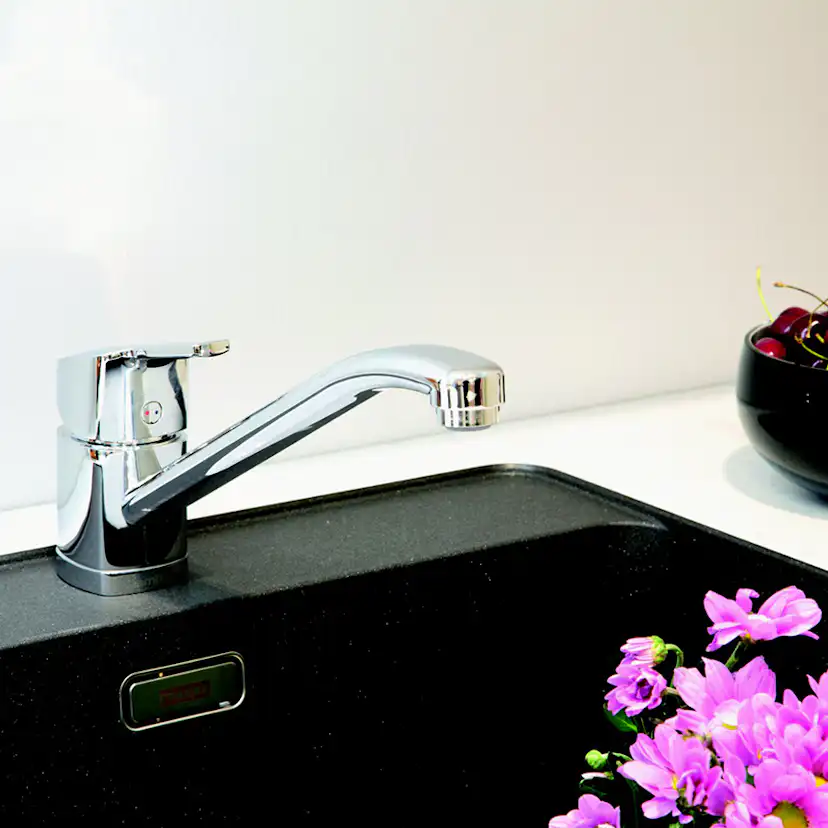 Köksblandare Damixa Pine med Låg Pip