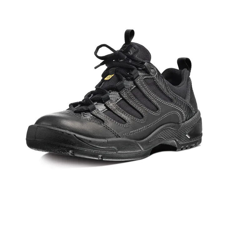 Lågsko Arbesko 1355