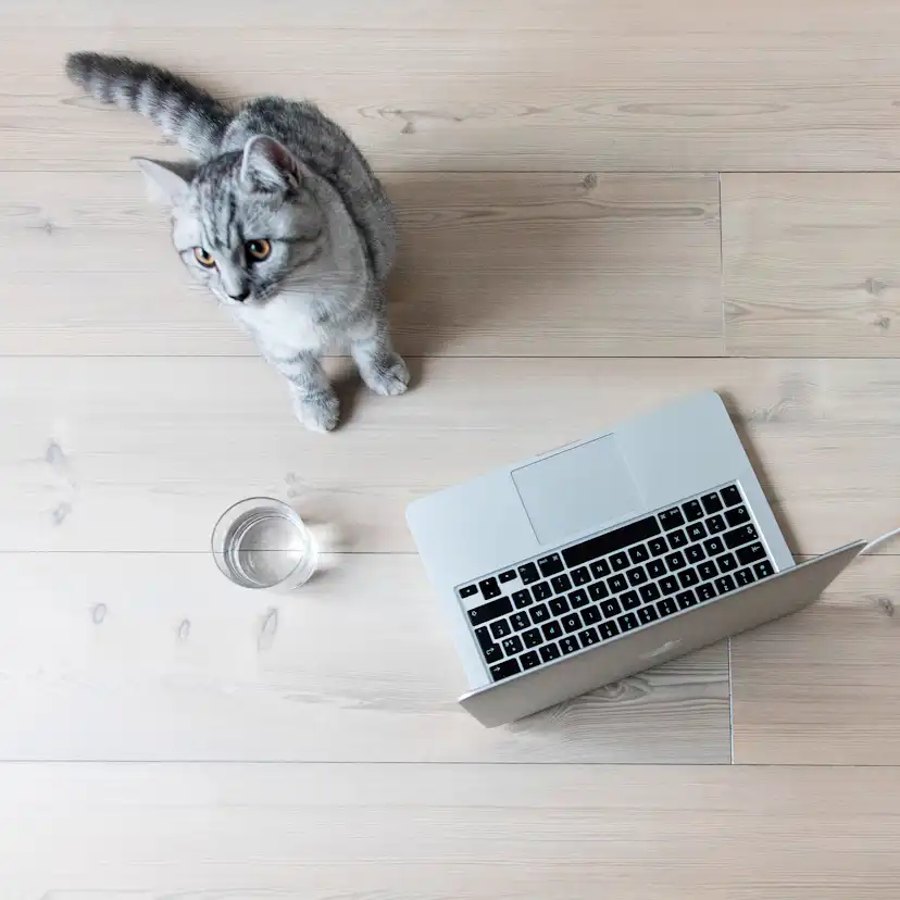 Laminatgolv BerryAlloc Original Sunset Boulevard 1-Stav