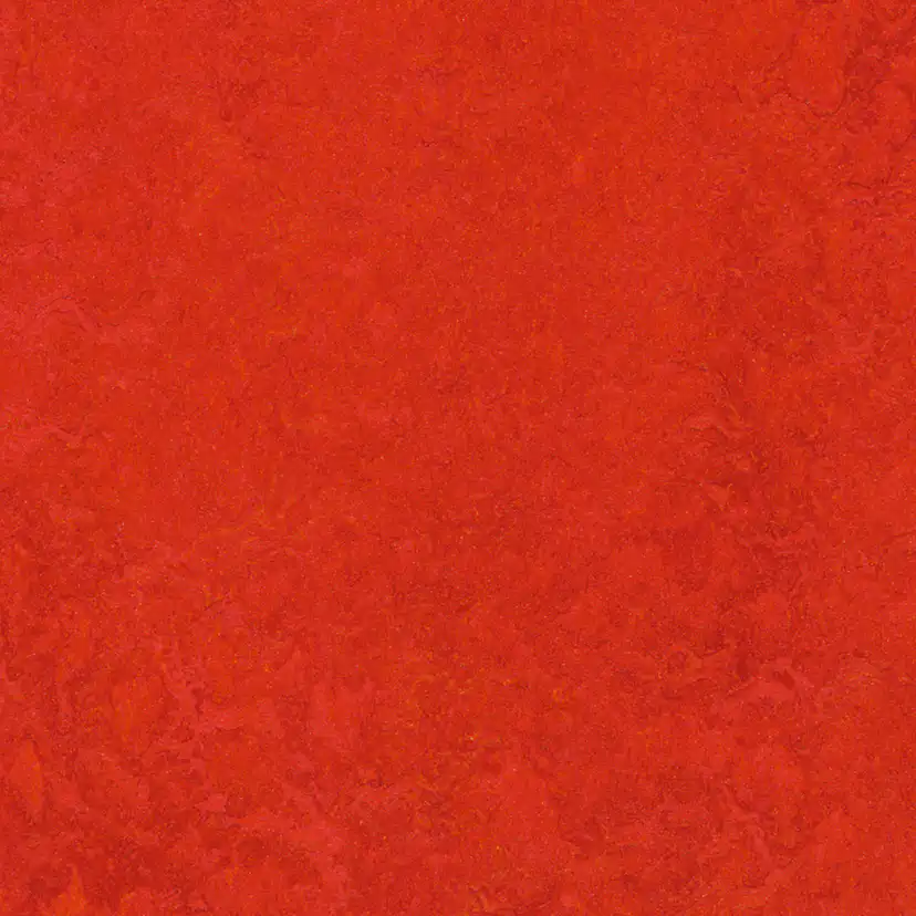 Linoleumgolv Forbo Marmoleum Click Scarlet 30x30cm med Klicksystem
