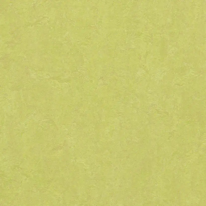 Linoleumgolv Forbo Marmoleum Click Spring Buds 30x30 cm