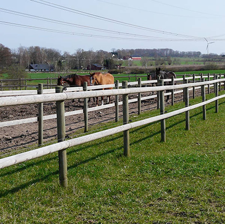 Stolpe Fyrås Trä 95x95x2000 mm 55 st