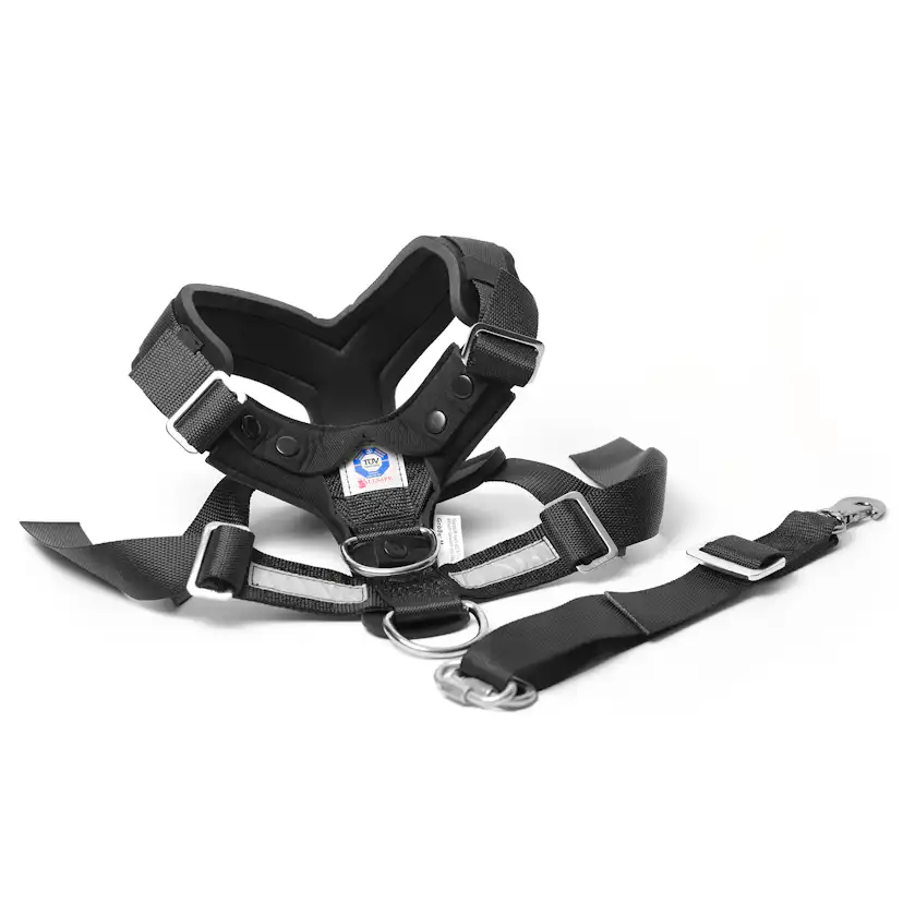 Hundsele MIM AllSafe L