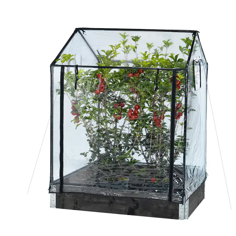 Drivhus Hortus Transparent Plast, Passar till Odlingskrage - 80x120cm, Höjd 110/130 cm