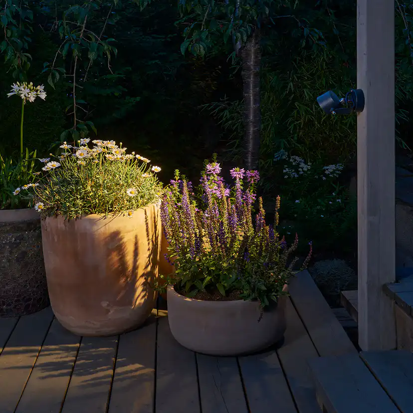 Väggspot Norlys Moss