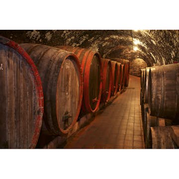 Tapet Dimex Wine Barrels