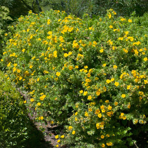 Planteringsjord 5 för 100