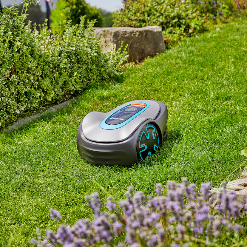 Robotgräsklippare Gardena Sileno Minimo 500 Paket Med Slinga & Robothus