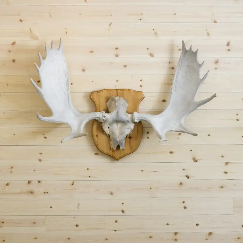 Panel Ändspont Baseco Obehandlad Slätspont