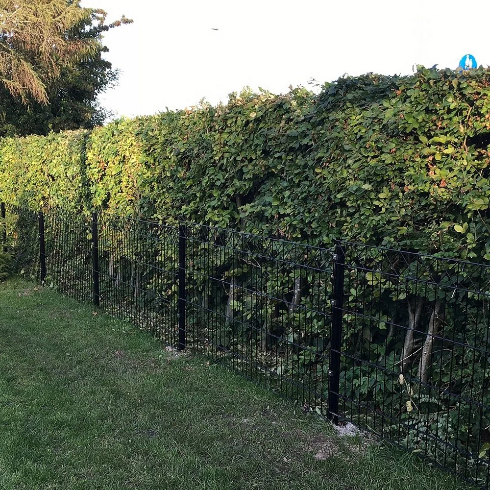 Panelstängsel Hortus med Deko X Svart