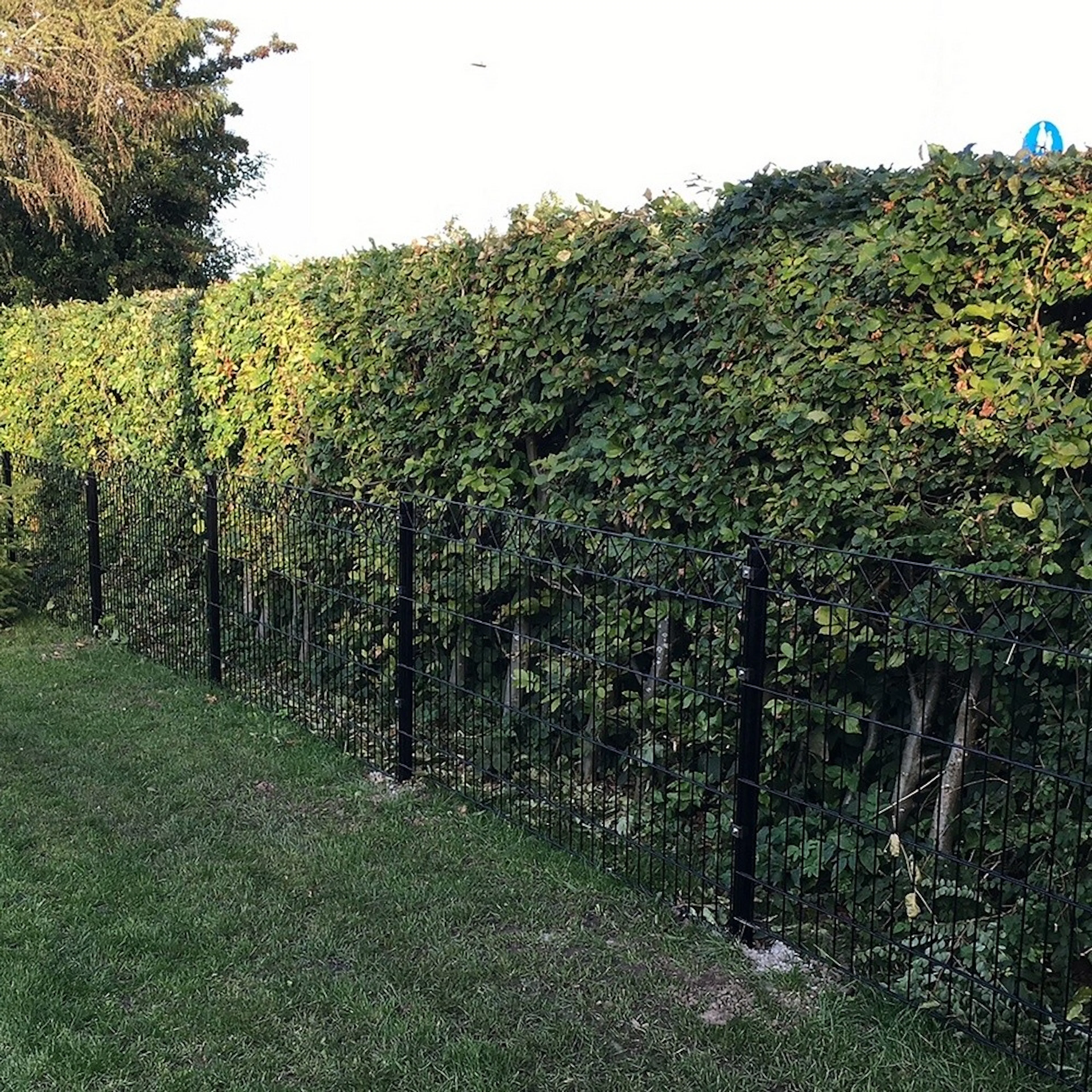 Panelstängsel Hortus med Deko X Svart