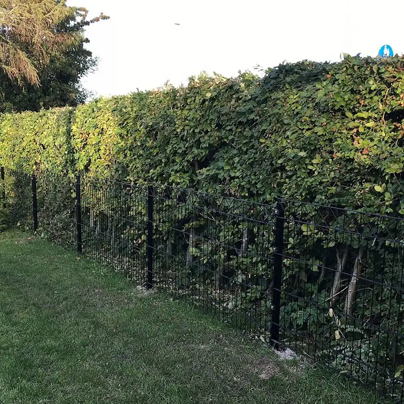 Panelstängsel Hortus med Deko X Svart