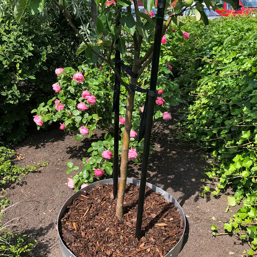 Planteringskant Flexigarden Aluzink 120 mm Cirkel