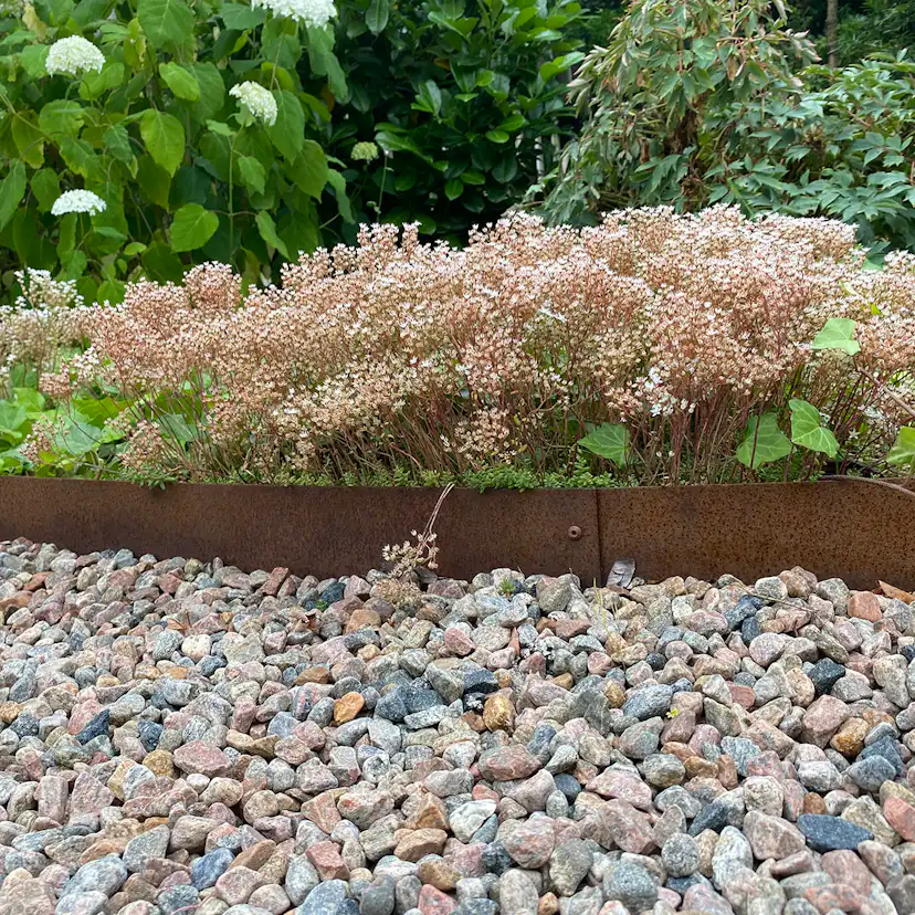 Planteringskant Flexigarden Corten 180 mm Skarvplåt