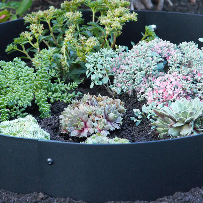 Planteringskant Flexigarden Svart Övergång 120-180 mm 500 mm