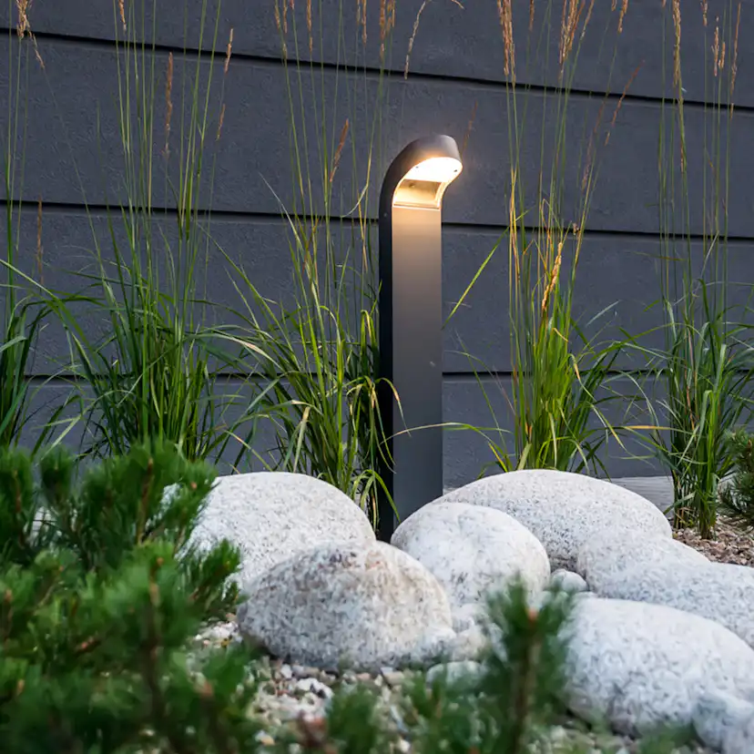 Pollare Norlys Molde