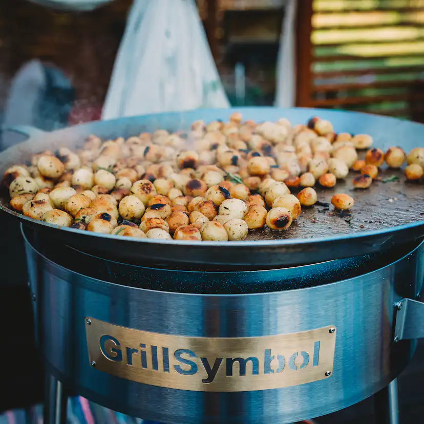 Stekhäll GrillSymbol Gasol PRO-580 Rostfritt Stål med Dubbla Brännare