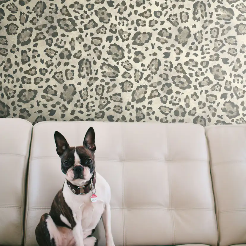 Tapet York Wallcoverings Urban Chic RK4457