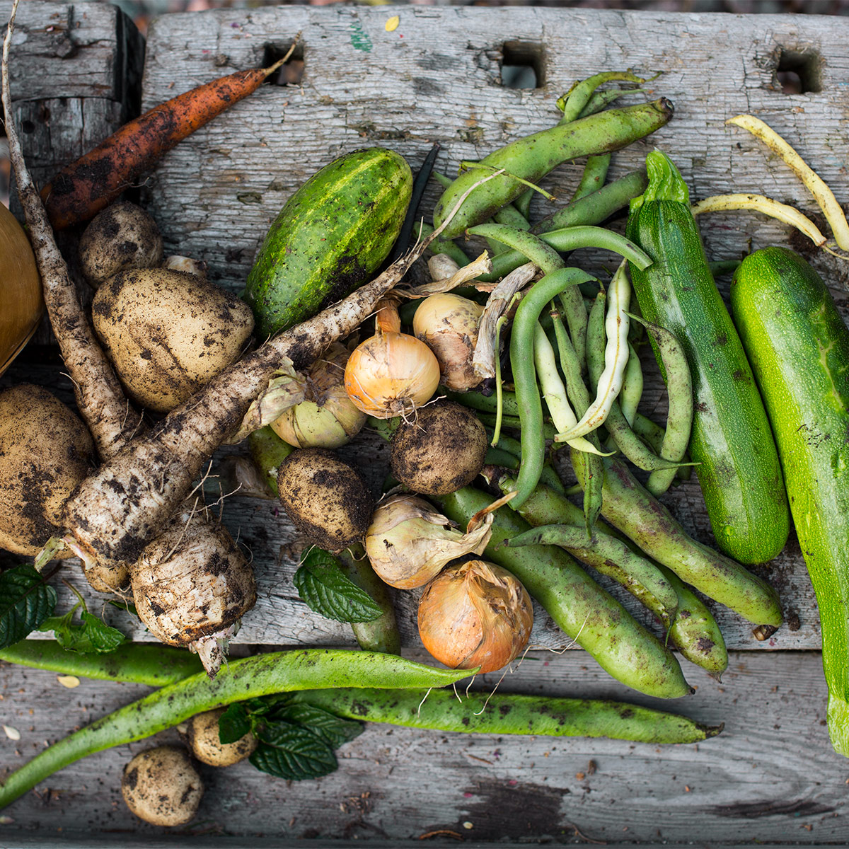 Hönsgödsel Hasselfors Garden 40 L