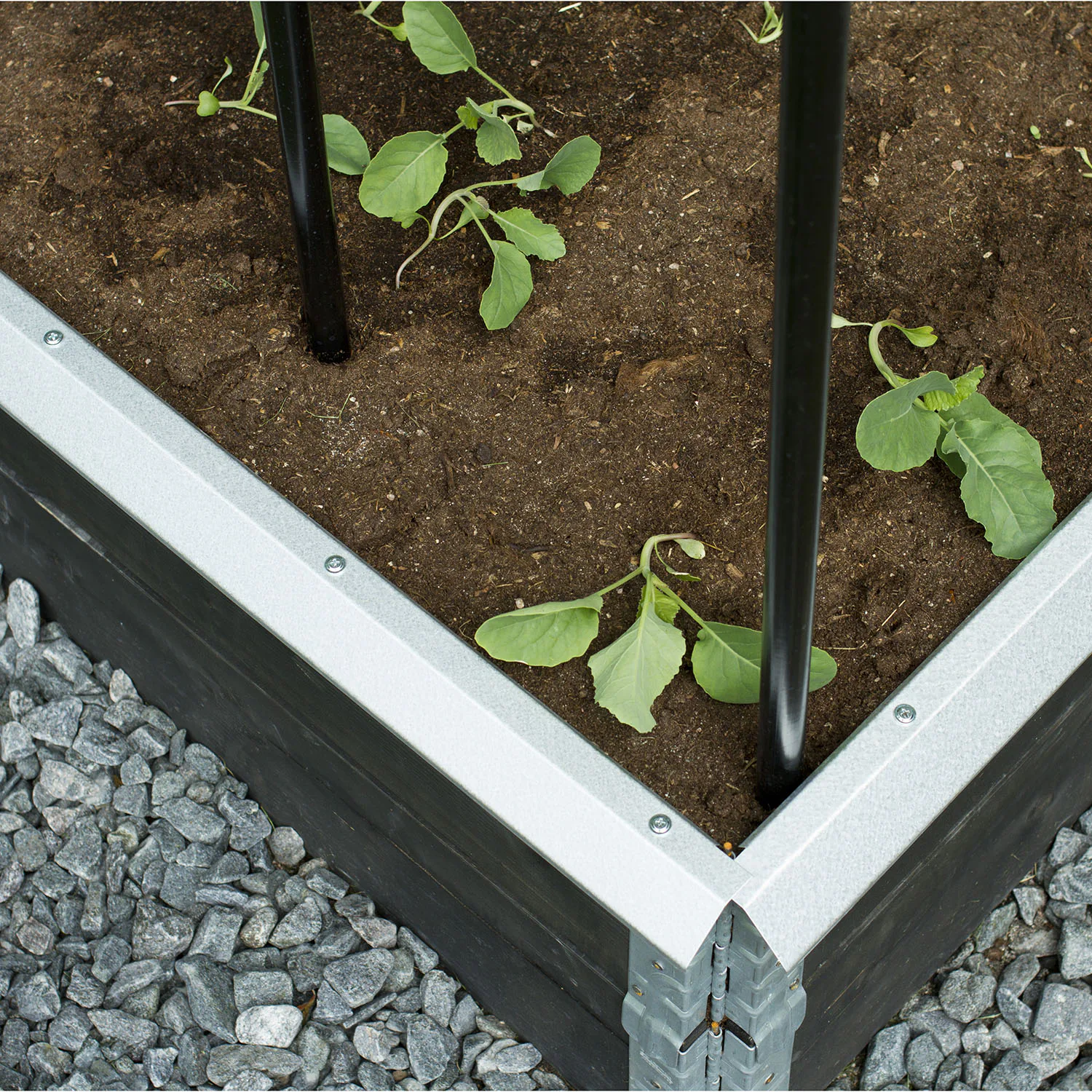 Snigelkant Flexigarden till Odlingslåda i Trä