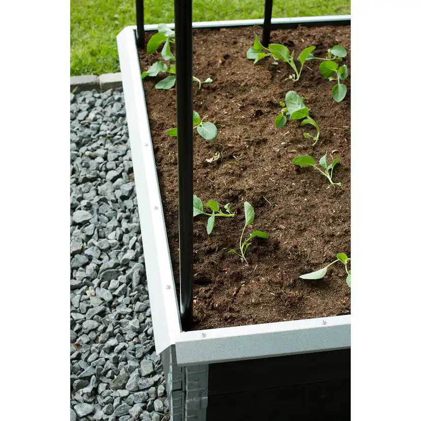 Snigelkant Flexigarden till Odlingslåda i Trä