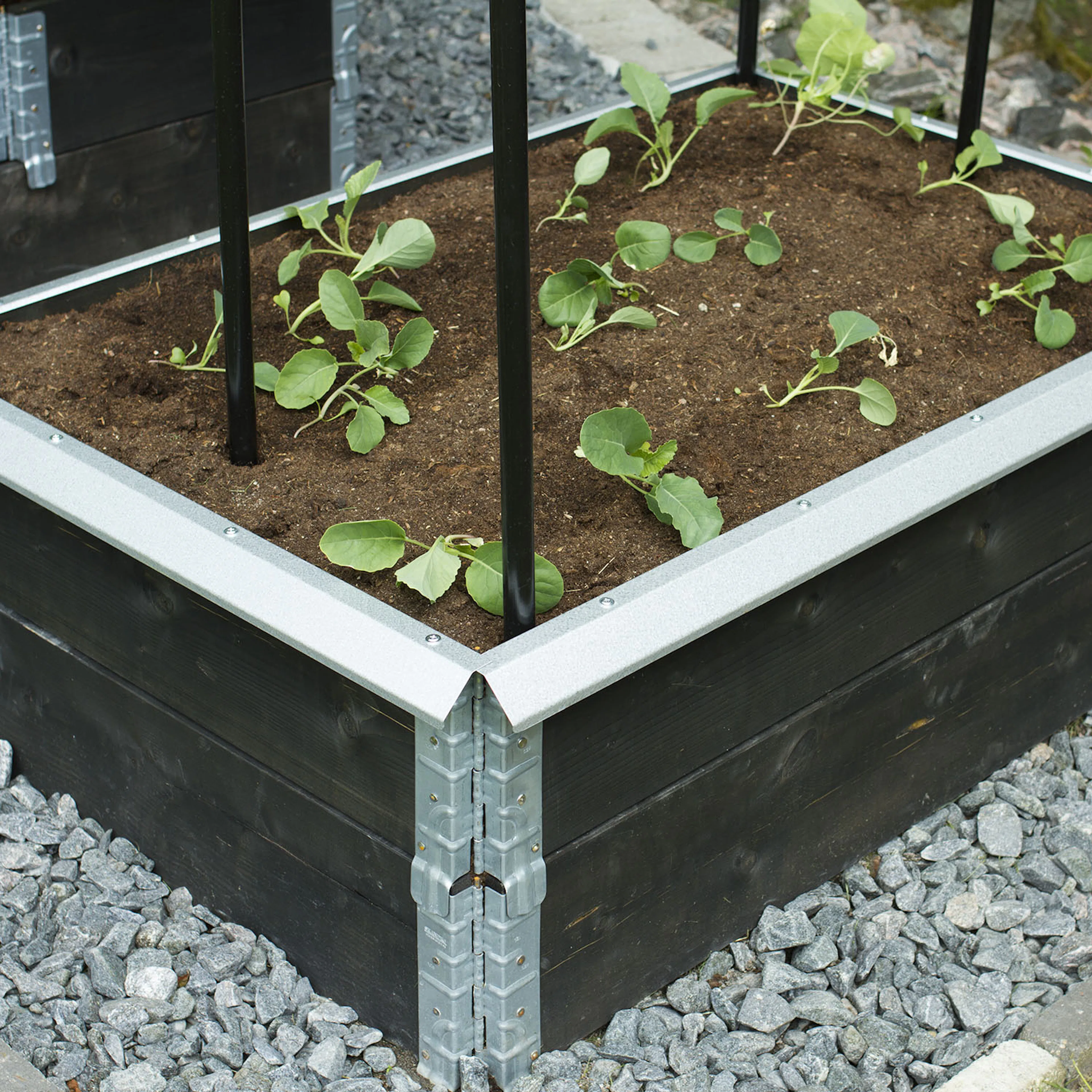 Snigelkant Flexigarden till Odlingslåda i Trä