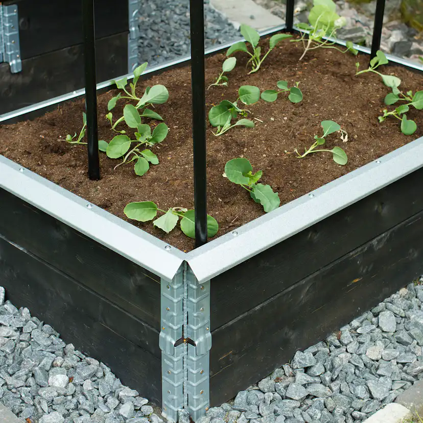 Snigelkant Flexigarden till Odlingslåda i Trä