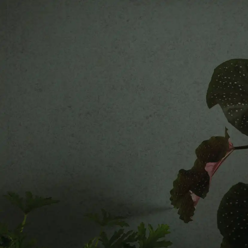 Tapet Duro Sten Grön Marmor 352-17