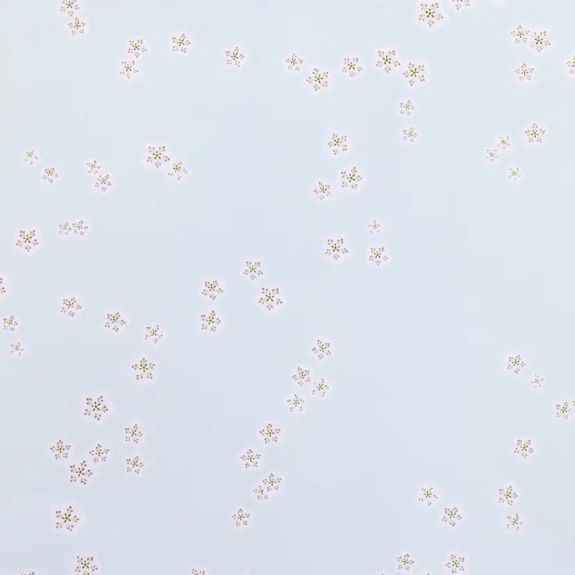 Tapet Mimou Falling Flowers Sky