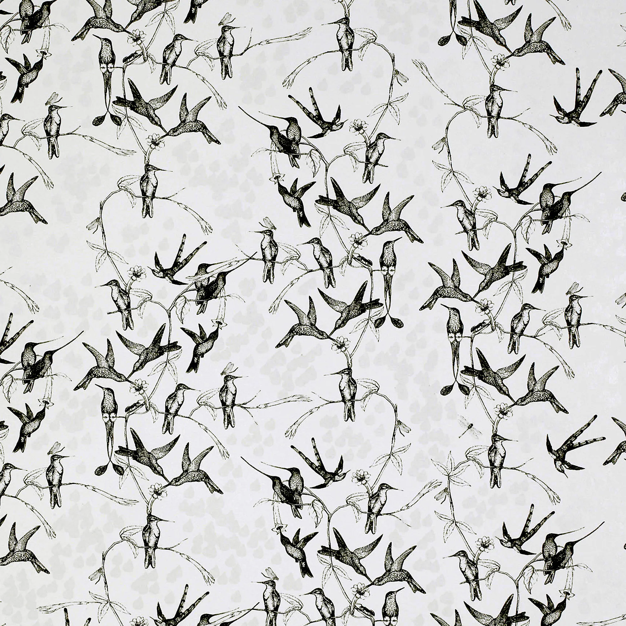 Tapet Mimou Rainbirds Natural/Black