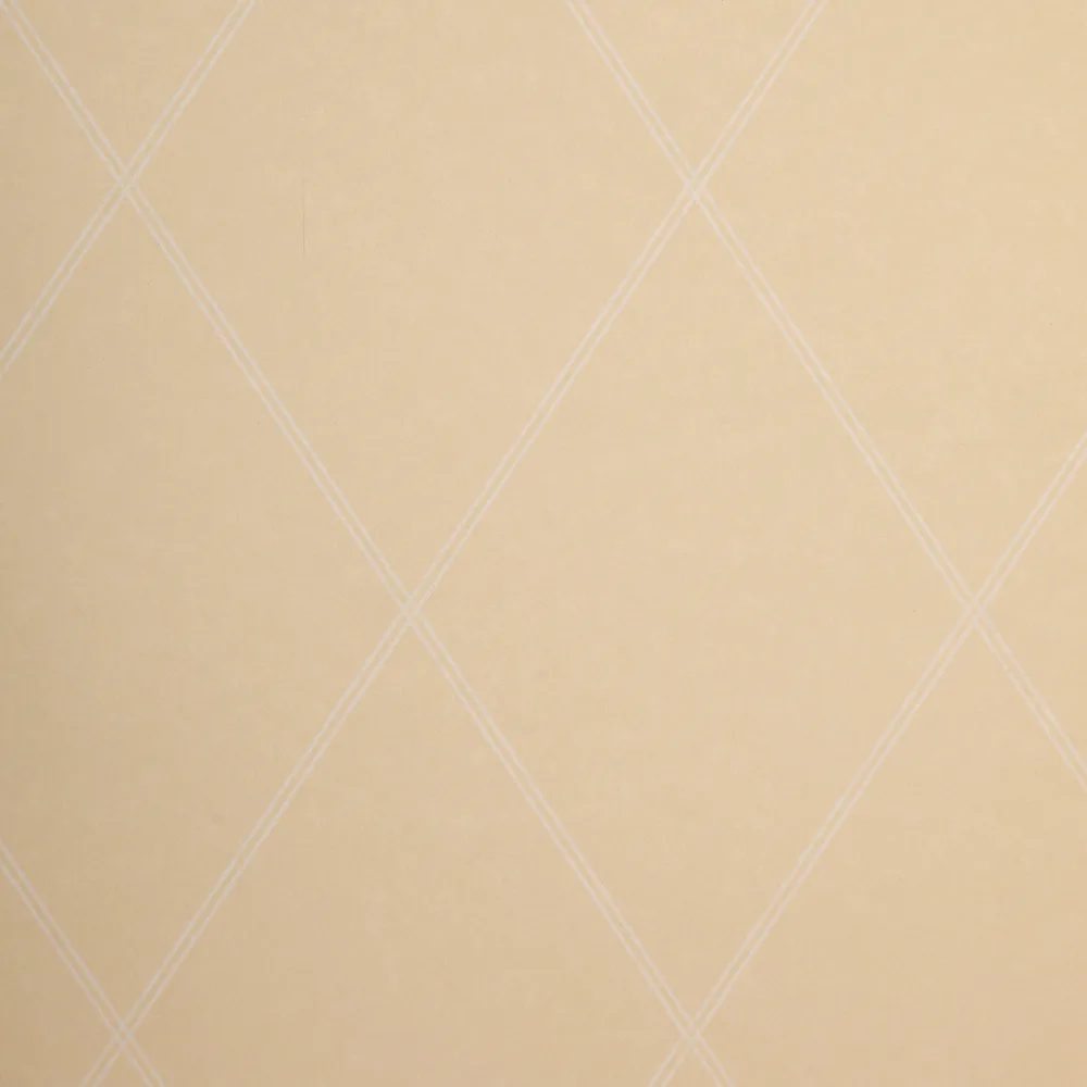 Tapet Paintpart Lantligt & Modernt 4931-1