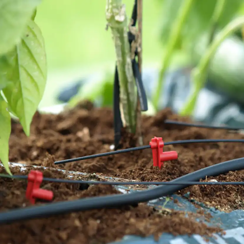 Tillbehörsset Automatisk Bevattning Vitavia