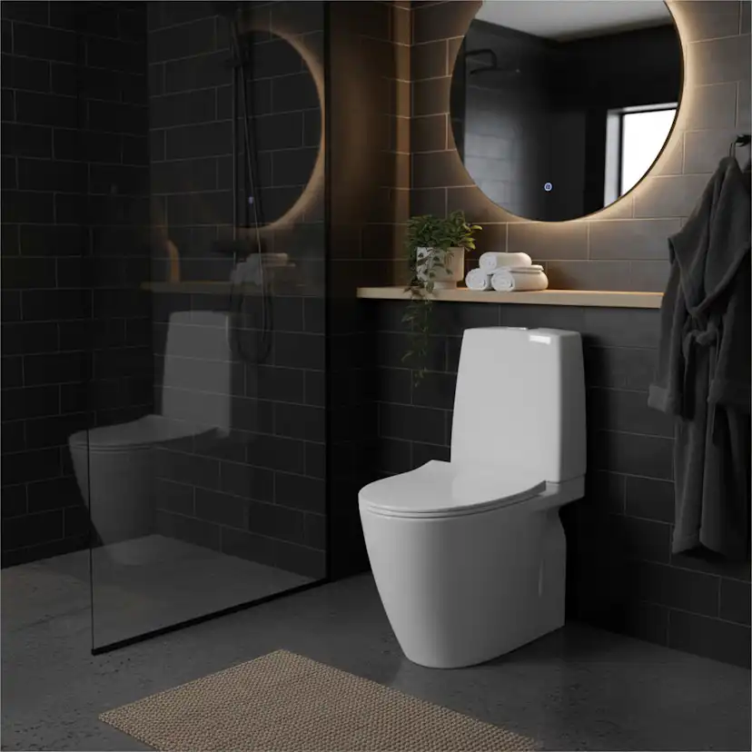 Toalettstol Ifö Vinta Art Rimfree Turboflush