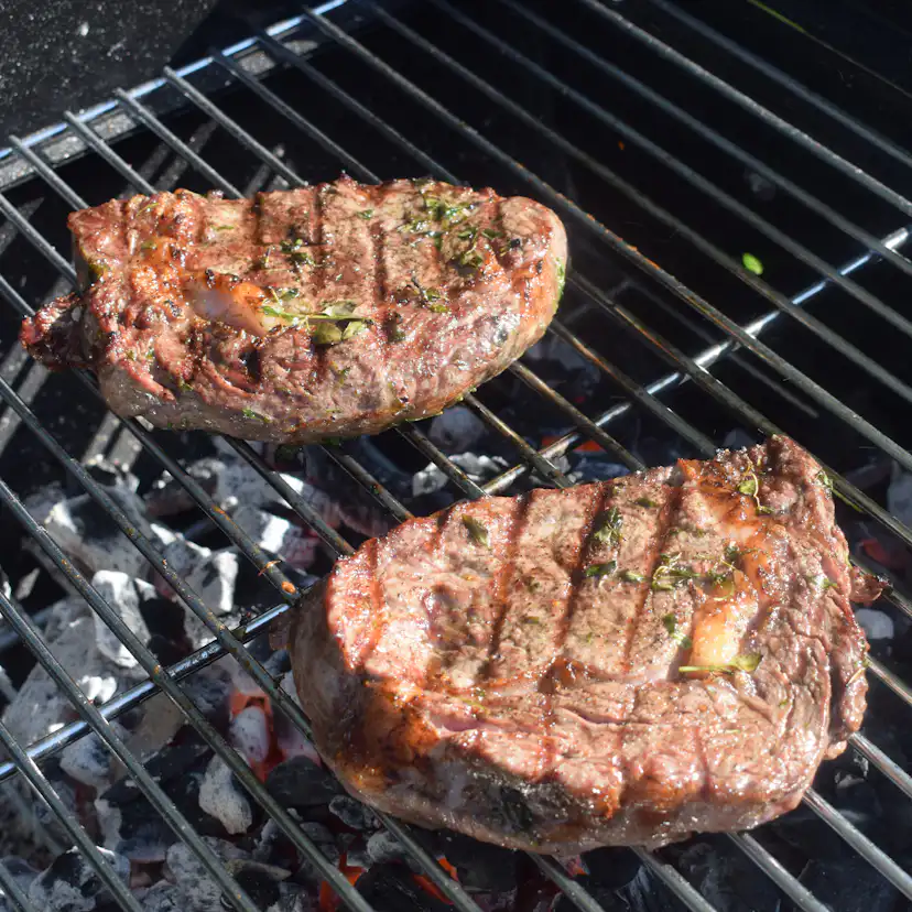 Kolgrill Sunwind Odis