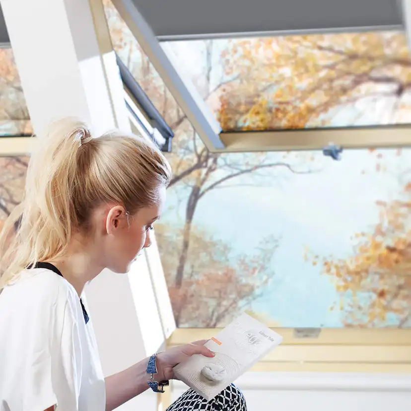 Takfönster Fakro Topp & Pivåhängt 2-Glas Lagerfört