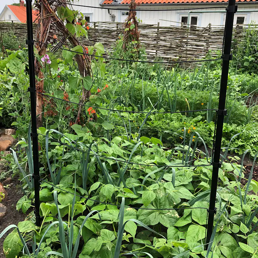 TrådSpaljé Flexigarden