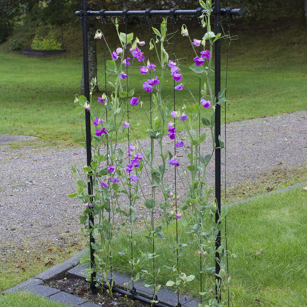 Ramspaljé Flexigarden