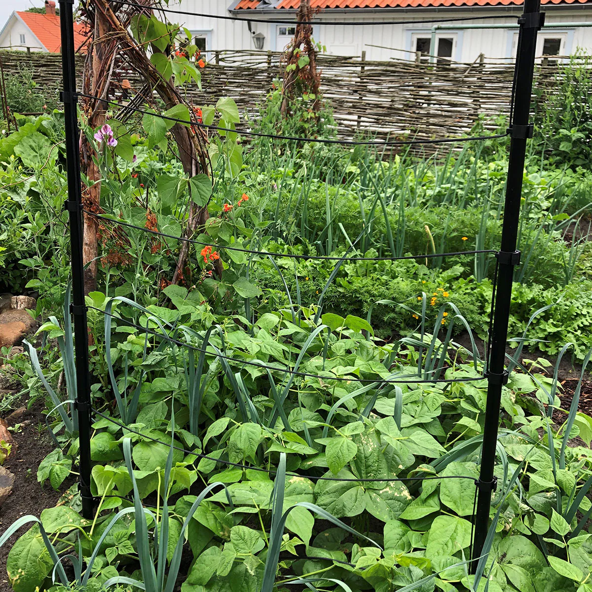 TrådSpaljé Flexigarden