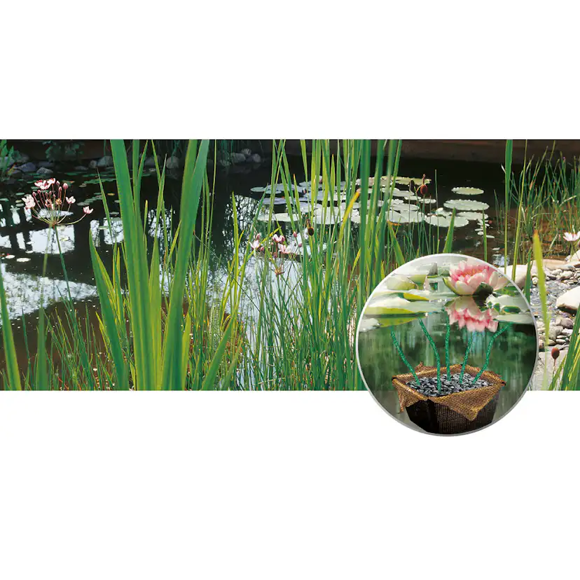 Näckroskorg Heissner