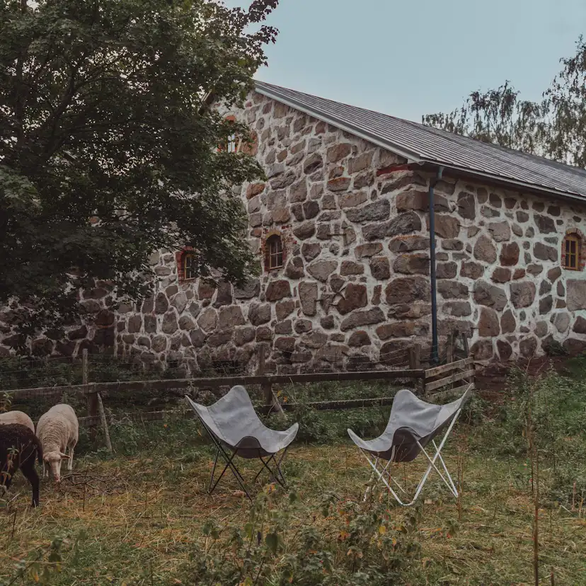 Tyg Varax till Fladdermusstolen