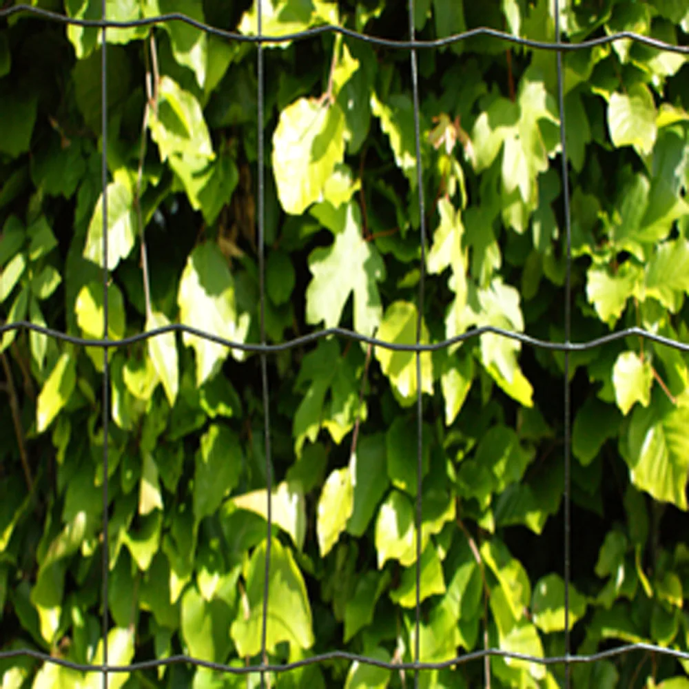 Villastängsel HORTUS Maskstorlek 5x10 cm Svart